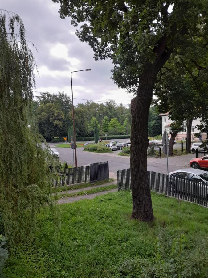 Mieszkanie Z Widokiem Na Park -Cieplice Slaskie Zdroj Daire Jelenia Gora Dış mekan fotoğraf